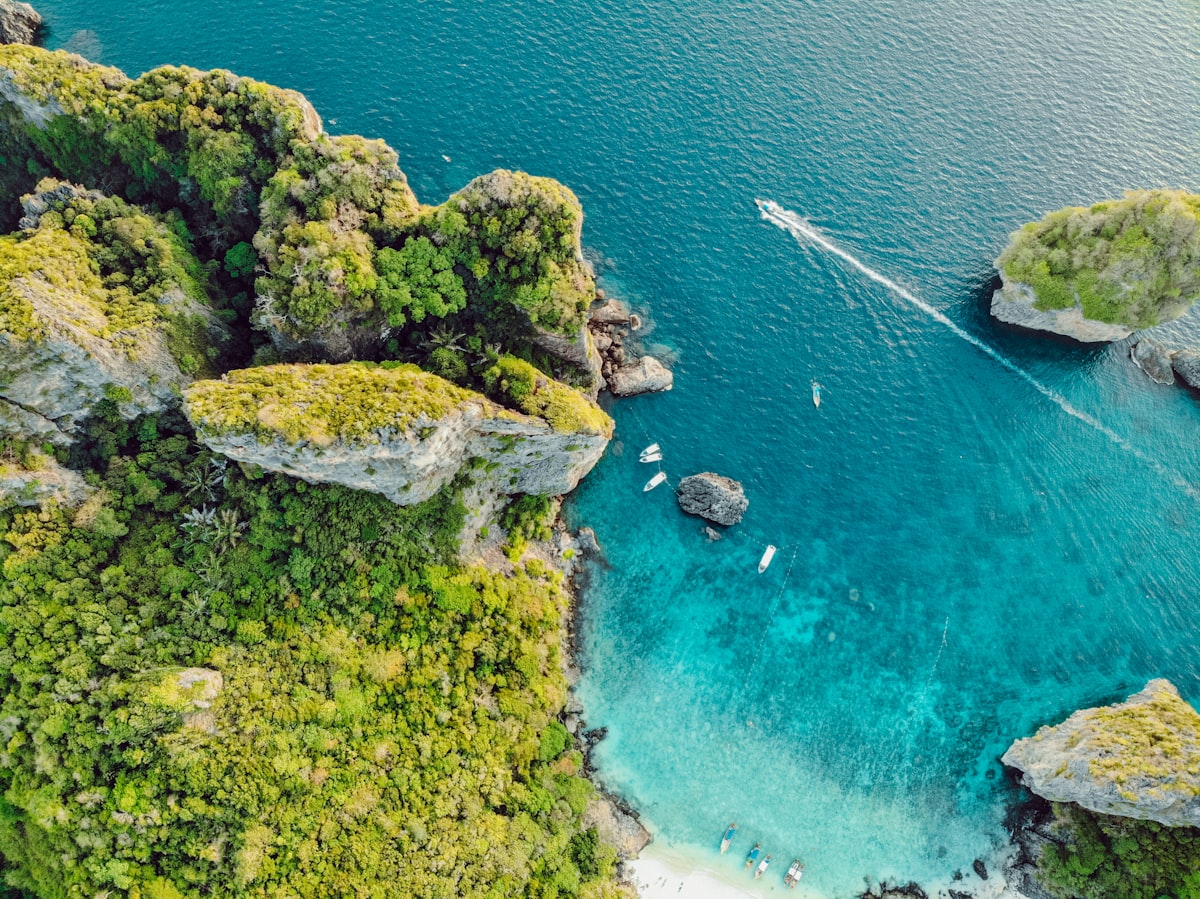 Reference imagery for Coral Island