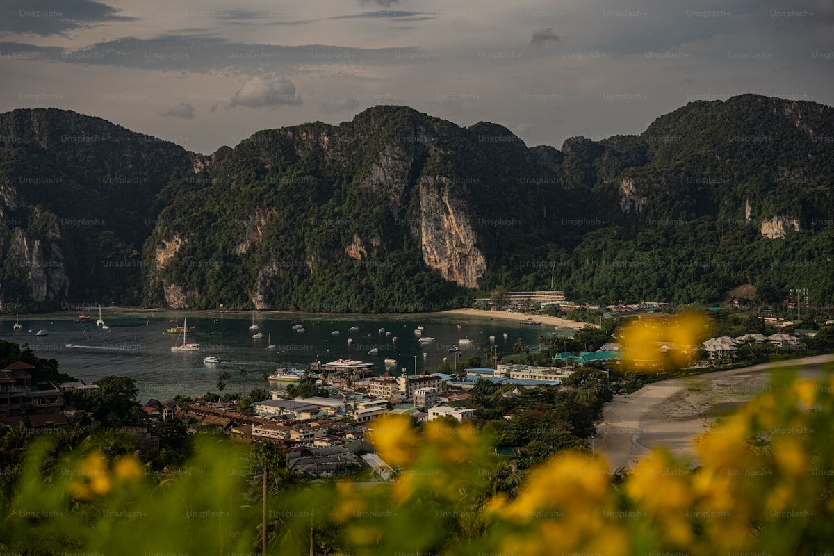 Reference imagery for Phi Phi Islands